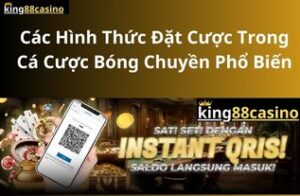 ca-cuoc-bong-chuyen