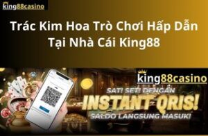 trac-kim-hoa-tro-choi-giai-tri-tai-nha-cai-king88