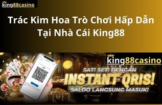 trac-kim-hoa-tro-choi-giai-tri-tai-nha-cai-king88